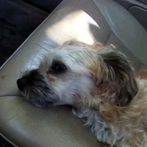 Meet your Posher, Marla